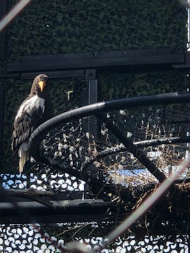 旭川市旭山動物園に投稿された画像（2020/9/20）