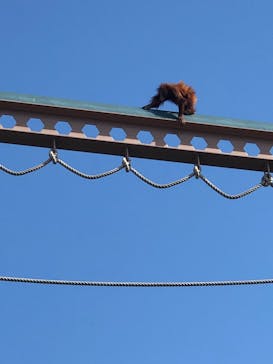 旭川市旭山動物園に投稿された画像（2020/9/20）
