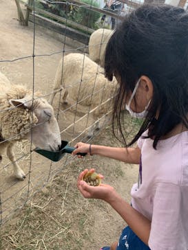 神戸どうぶつ王国に投稿された画像（2020/9/20）