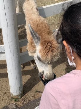 神戸どうぶつ王国に投稿された画像（2020/9/20）