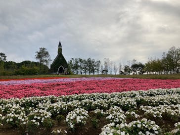 牧歌の里に投稿された画像（2020/9/20）