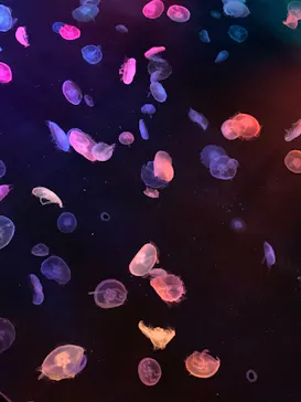 すみだ水族館に投稿された画像（2020/9/20）