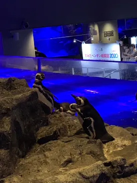 すみだ水族館に投稿された画像（2020/9/20）