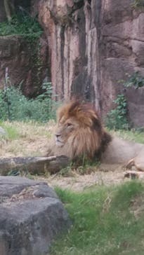天王寺動物園に投稿された画像（2020/9/20）