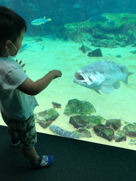 九十九島水族館海きららに投稿された画像（2020/9/20）