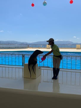 マリンワールド海の中道に投稿された画像（2020/9/20）