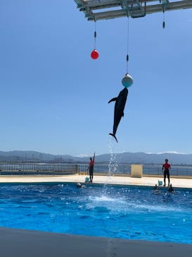 マリンワールド海の中道に投稿された画像（2020/9/20）