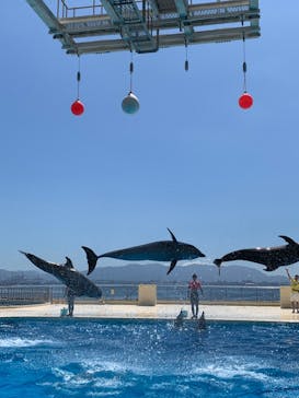 マリンワールド海の中道に投稿された画像（2020/9/20）