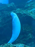 仙台うみの杜水族館に投稿された画像（2020/9/20）
