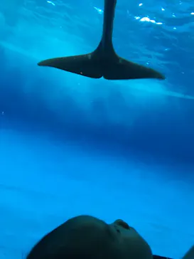 アクアワールド茨城県大洗水族館に投稿された画像（2020/9/20）