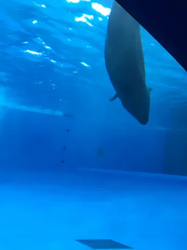 アクアワールド茨城県大洗水族館に投稿された画像（2020/9/20）