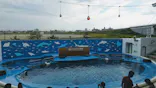 仙台うみの杜水族館に投稿された画像（2020/9/20）