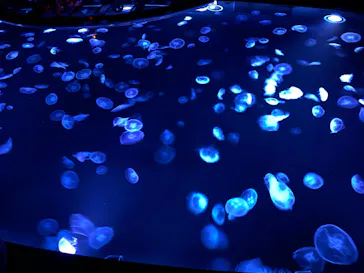 すみだ水族館に投稿された画像（2020/9/20）