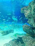 サンシャイン水族館に投稿された画像（2020/9/20）