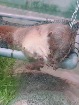 サンシャイン水族館に投稿された画像（2020/9/20）