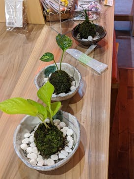 伊勢夫婦岩めおと横丁　めおと岩アクティビティに投稿された画像（2020/9/20）