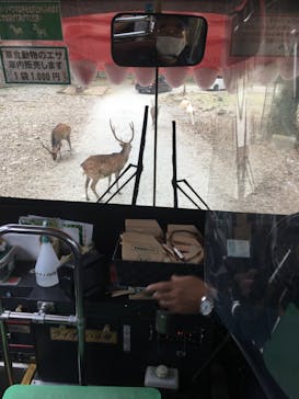 那須サファリパークに投稿された画像（2020/9/20）