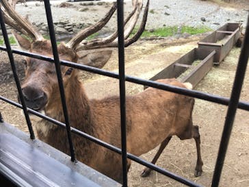 那須サファリパークに投稿された画像（2020/9/20）