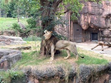 天王寺動物園に投稿された画像（2020/9/20）