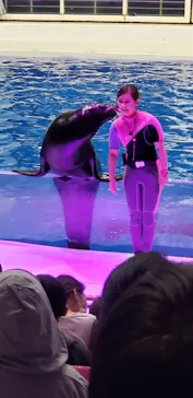アクアワールド茨城県大洗水族館に投稿された画像（2020/9/20）