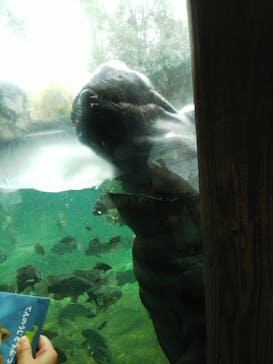 天王寺動物園に投稿された画像（2020/9/20）