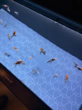 すみだ水族館に投稿された画像（2020/9/20）