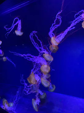 すみだ水族館に投稿された画像（2020/9/20）