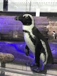 京都水族館に投稿された画像（2020/9/20）