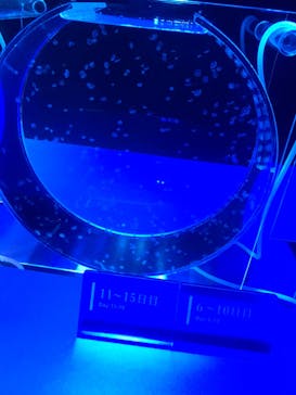 京都水族館に投稿された画像（2020/9/20）