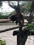 天王寺動物園に投稿された画像（2020/9/20）
