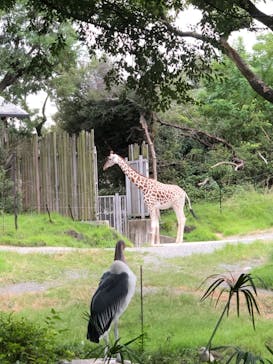 天王寺動物園に投稿された画像（2020/9/20）