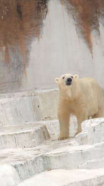 天王寺動物園に投稿された画像（2020/9/20）