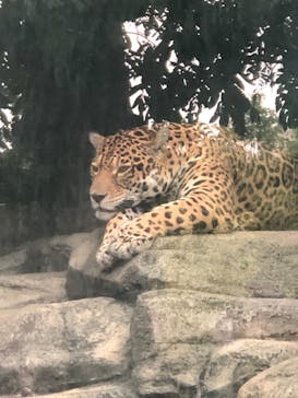 天王寺動物園に投稿された画像（2020/9/20）