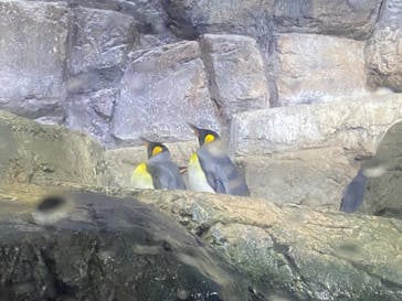 横浜・八景島シーパラダイスに投稿された画像（2020/9/20）