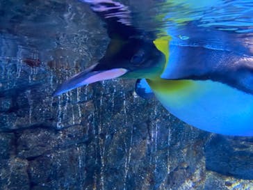 横浜・八景島シーパラダイスに投稿された画像（2020/9/20）