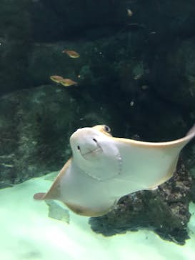 横浜・八景島シーパラダイスに投稿された画像（2020/9/20）