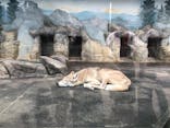 天王寺動物園に投稿された画像（2020/9/20）