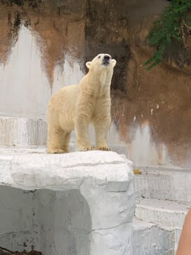 天王寺動物園に投稿された画像（2020/9/20）