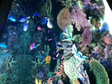 サンシャイン水族館に投稿された画像（2020/9/20）