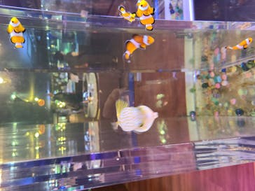 ゼロ距離水族館 伊勢シーパラダイスに投稿された画像（2020/9/20）