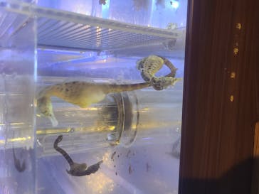 ゼロ距離水族館 伊勢シーパラダイスに投稿された画像（2020/9/20）