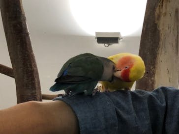 Moff アニマル カフェ イーアス 高尾店に投稿された画像（2020/9/20）