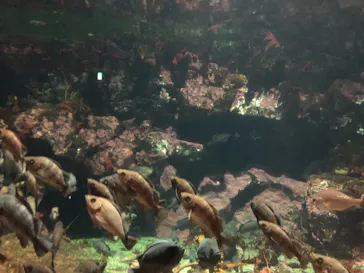 アクアワールド茨城県大洗水族館に投稿された画像（2020/9/20）