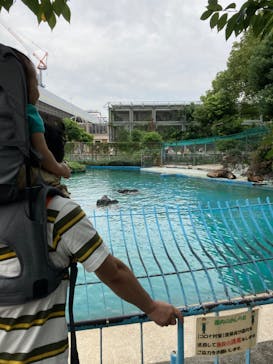 天王寺動物園に投稿された画像（2020/9/20）