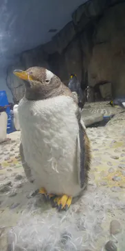仙台うみの杜水族館に投稿された画像（2020/9/20）