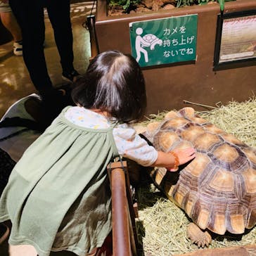 オービィ横浜に投稿された画像（2020/9/20）