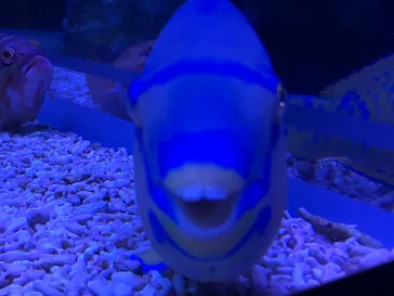 すみだ水族館に投稿された画像（2020/9/20）