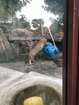 天王寺動物園に投稿された画像（2020/9/20）