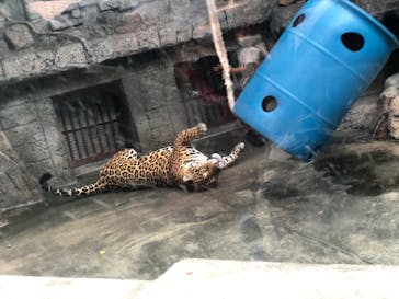 天王寺動物園に投稿された画像（2020/9/20）