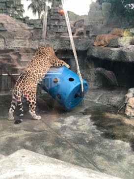 天王寺動物園に投稿された画像（2020/9/20）